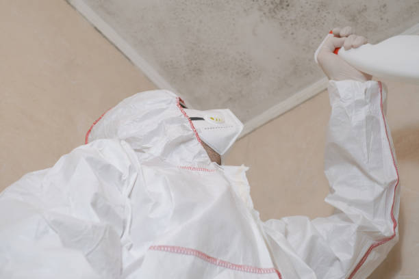Best Crawl Space Mold Remediation in Lowes Island, VA
